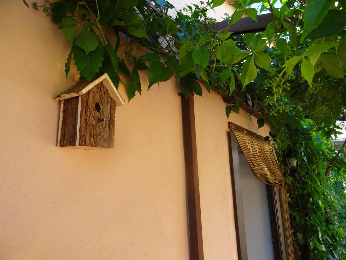 La Muntanya - Apartamentos Rural Guadalest Бенимантей Екстериор снимка